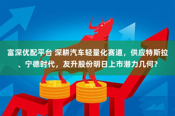 富深优配平台 深耕汽车轻量化赛道，供应特斯拉、宁德时代，友升股份明日上市潜力几何？