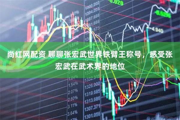 尚红网配资 聊聊张宏武世界铁臂王称号，感受张宏武在武术界的地位