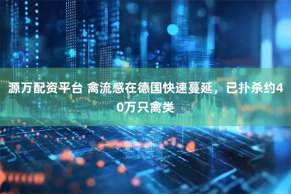 源万配资平台 禽流感在德国快速蔓延，已扑杀约40万只禽类