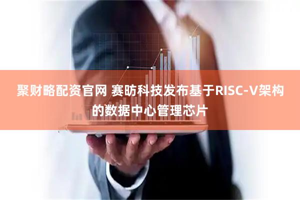 聚财略配资官网 赛昉科技发布基于RISC-V架构的数据中心管理芯片