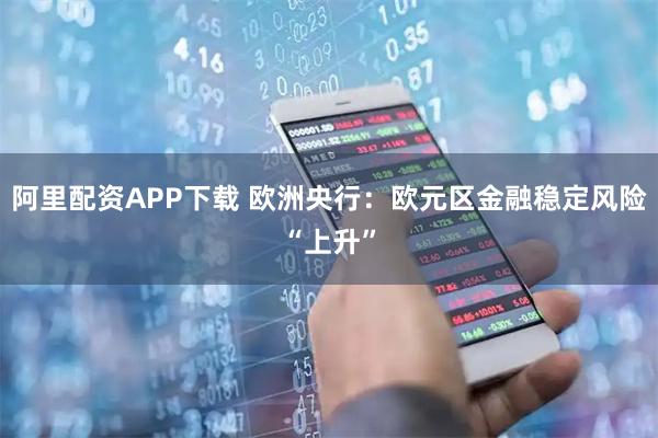 阿里配资APP下载 欧洲央行：欧元区金融稳定风险“上升”