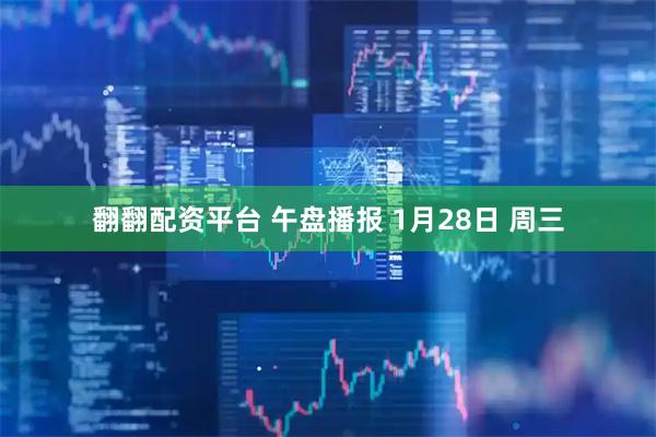 翻翻配资平台 午盘播报 1月28日 周三